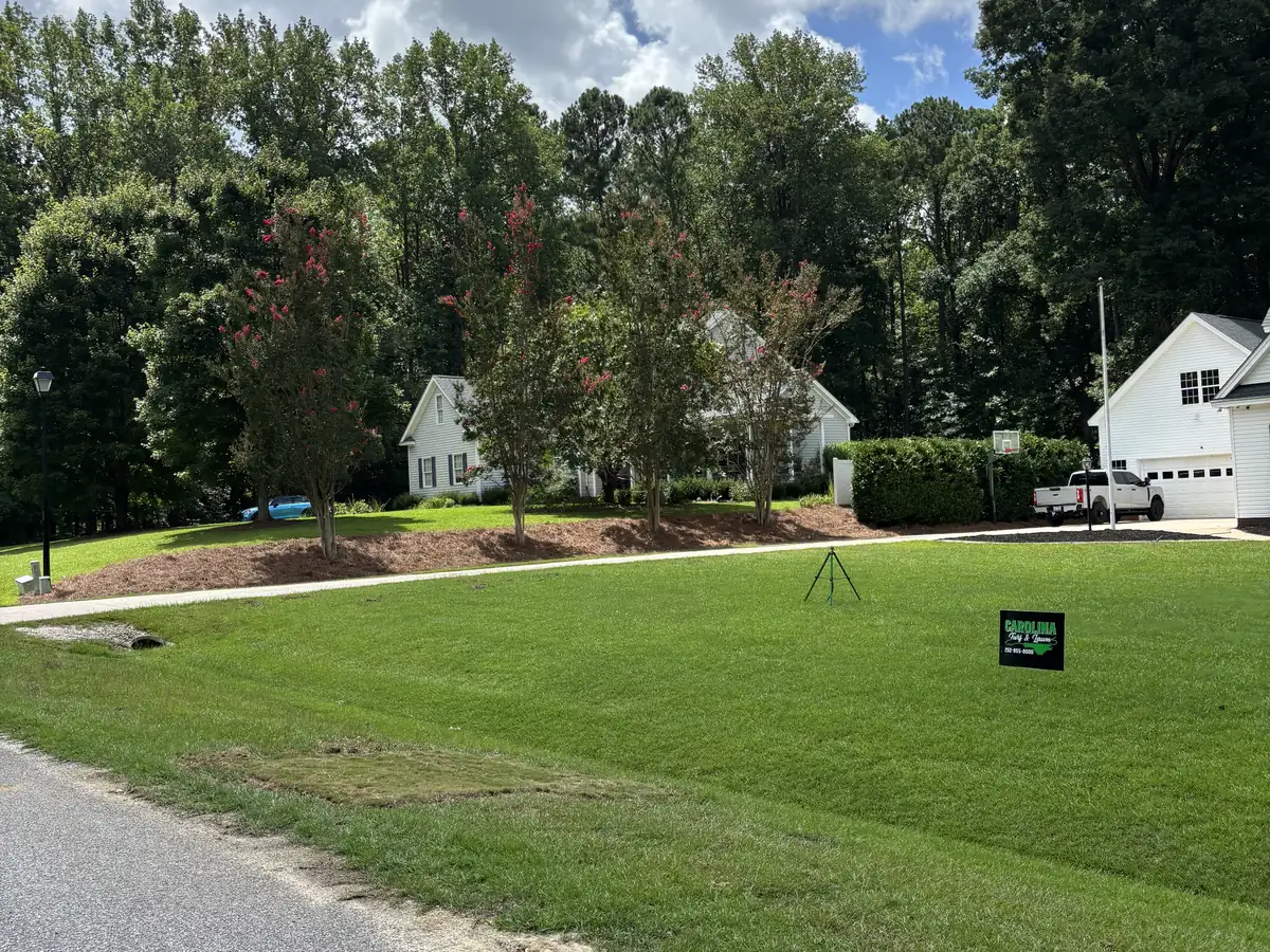 Crepe myrtles and fresh pine straw beds by the roadside