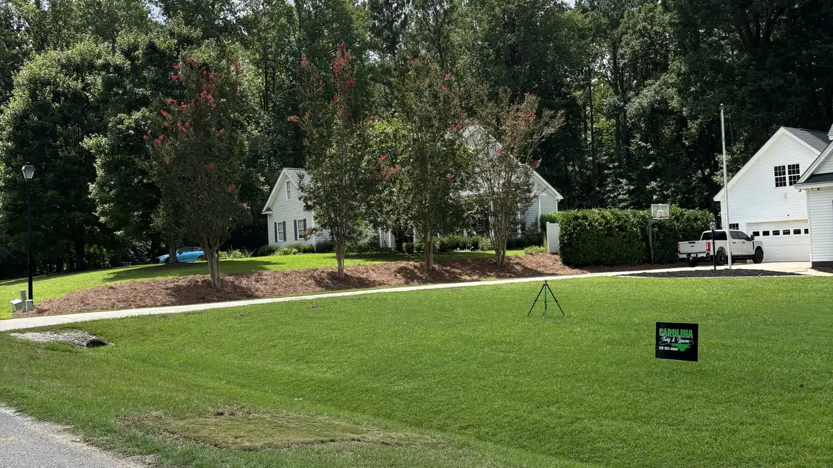 Spring Lawn Care Checklist for Eastern NC Yards