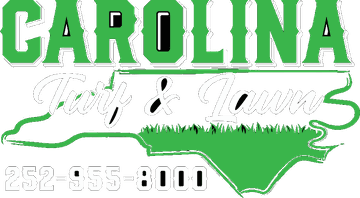Carolina Turf & Lawn